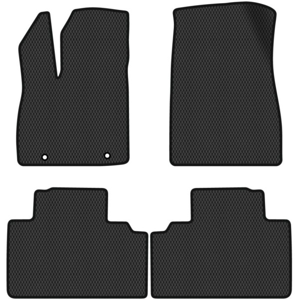 Polimeriniai EVA kilimėliai BYD Sealion 05 nuo 2025m.