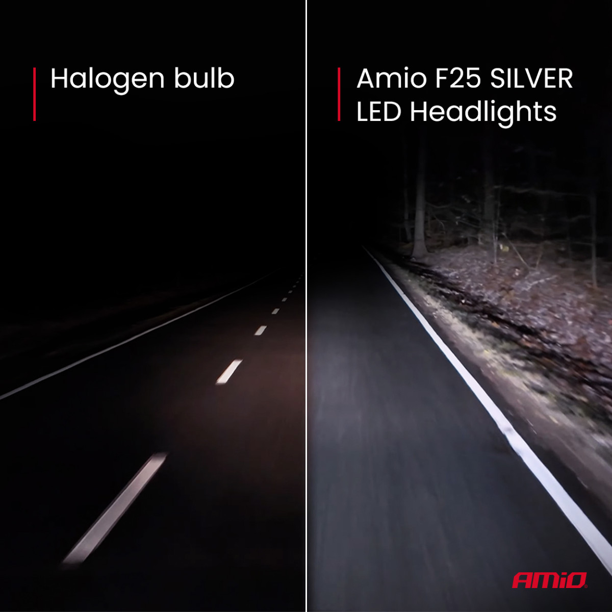 LED žibintų lemputės F25 SILVER FULL CANBUS HB4 9006 52W 12V 24V AMIO-04707