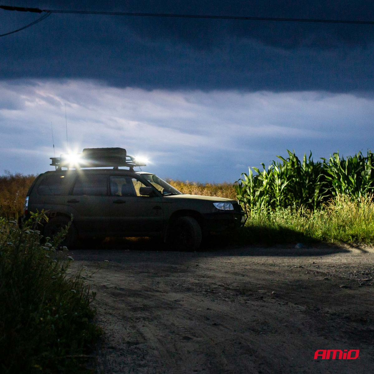 LED Panelinis žibintas, AWL25 87 cm 9-36V