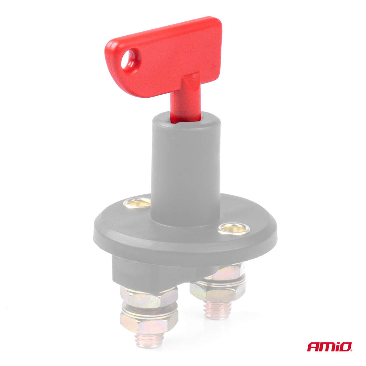 Pagrindinio jungiklio raktų rinkinys 10 vnt., AMIO-04805