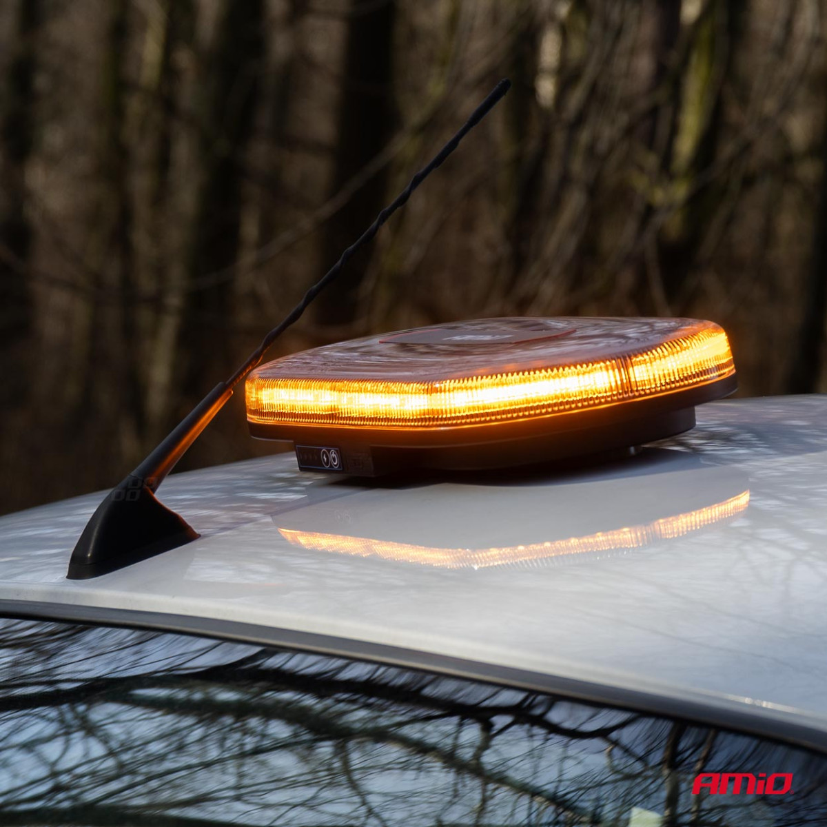 Belaidis LED šviestuvas su pulteliu R65 R10 26W 12/24V AMIO-04369